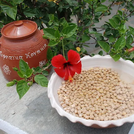 Sifnaika Konakia Traditional Settlements 招待所 卡马雷