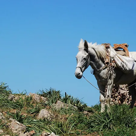 Sifnaika Konakia Traditional Settlements Vendégház 4*
